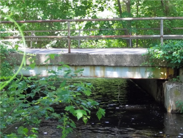 riverbank_road_bridge_replacement-600x451