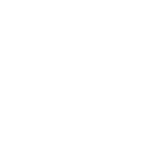 elections icon