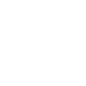 worksheet icon