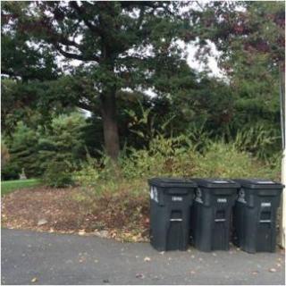 recycle toters on roadside